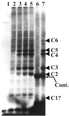 An external file that holds a picture, illustration, etc., usually as some form of binary object. The name of referred object is rmmj-3-1-e0001_Figure4.jpg